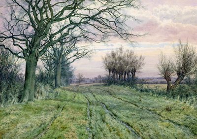 A Fenland Lane with Pollarded Willows, 1887 by William Fraser Garden
